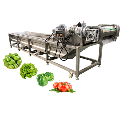 Water Saving 500kg Per Hour Vegetable and Fruit Avocado Garlic Tomato Pomegranate Cherry Washing Grading Sorting Machine
