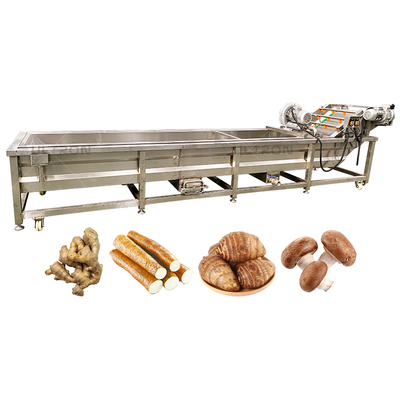 Water Saving 500kg Per Hour Vegetable and Fruit Avocado Garlic Tomato Pomegranate Cherry Washing Grading Sorting Machine