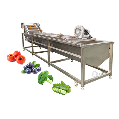 Water Saving 500kg Per Hour Vegetable and Fruit Avocado Garlic Tomato Pomegranate Cherry Washing Grading Sorting Machine