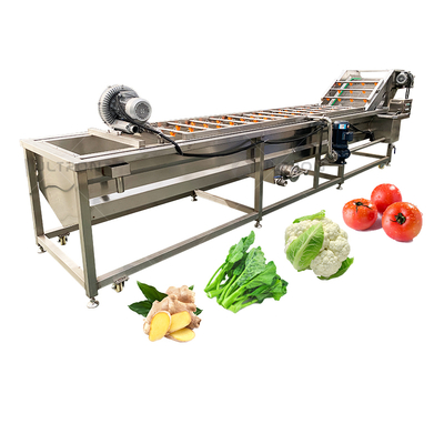 Water Saving 500kg Per Hour Vegetable and Fruit Avocado Garlic Tomato Pomegranate Cherry Washing Grading Sorting Machine